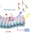 陈春城团队在光电催化表面氧原子转移反应方面取得新进展