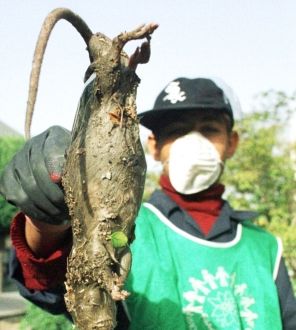 乌克兰切尔诺贝利核电站断电，可能有辐射泄漏风险