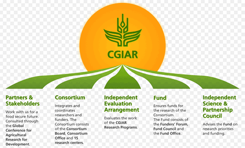 食品安全组织 CGIAR 与 Linux 基金会合作共享农业数据