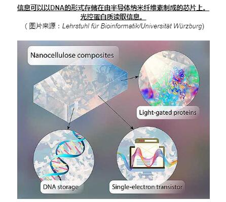 维尔茨堡大学：DNA芯片将成为未来的存储介质