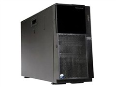 IBM System x3500 M4(7383i20)