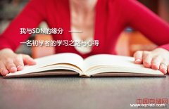 我与SDN的缘分：一名初学者的学习之路与心得