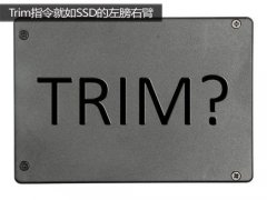 SSD Trim介绍