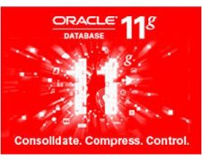 ORACLE 11G 标准版 [2