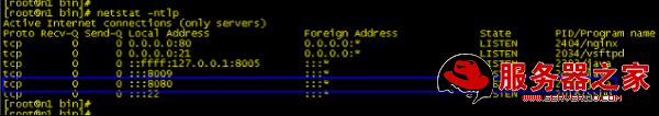 Nginx 安装nginx upstream jvm route模块之 tomcat安装及配置