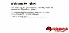 CentOS 6.5系统中Nginx服务器的编译和安装步骤