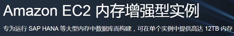  Amazon EC2 内存增强型实例