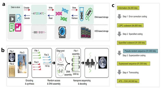 科研：利用纳米孔检测辅助DNA进行信息存储处理